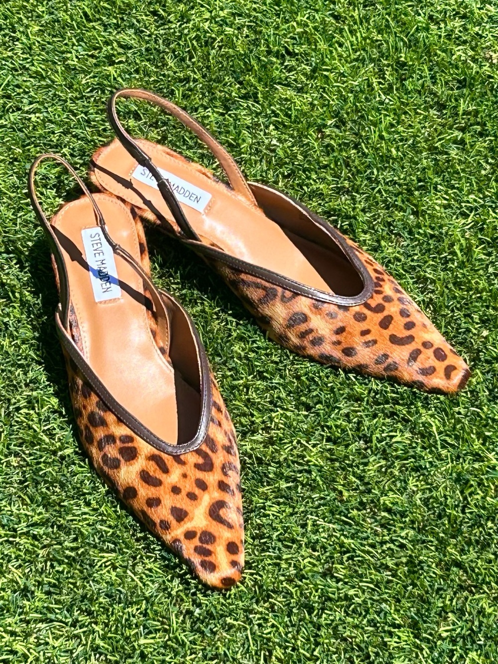 Steve Madden Leopard-Print Pointed Slingback Flats - Brown